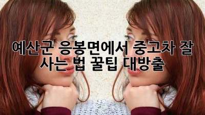 예산군 응봉면에서 중고차 잘 사는 법? 꿀팁 대방출!