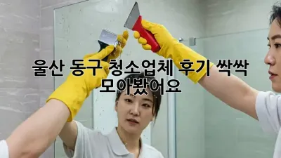 울산 동구 청소업체 후기 싹싹 모아봤어요! ✨